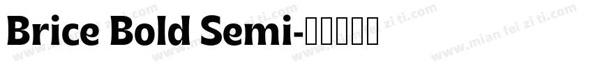 Brice Bold Semi字体转换